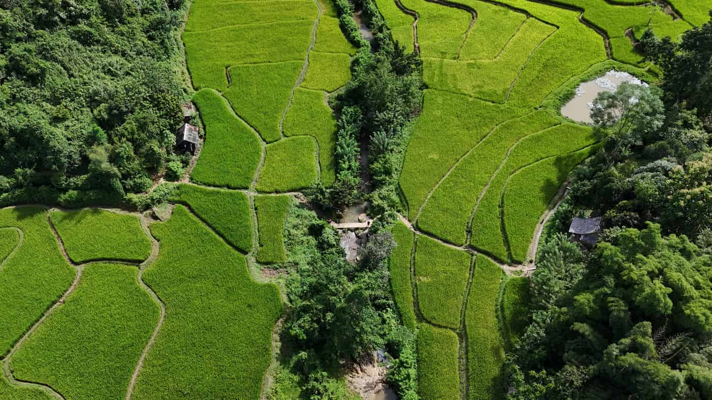 High-angle drone view of lush green terraced rice fields in Northern Thailand, a scenic highlight on our long-distance road bike tours.