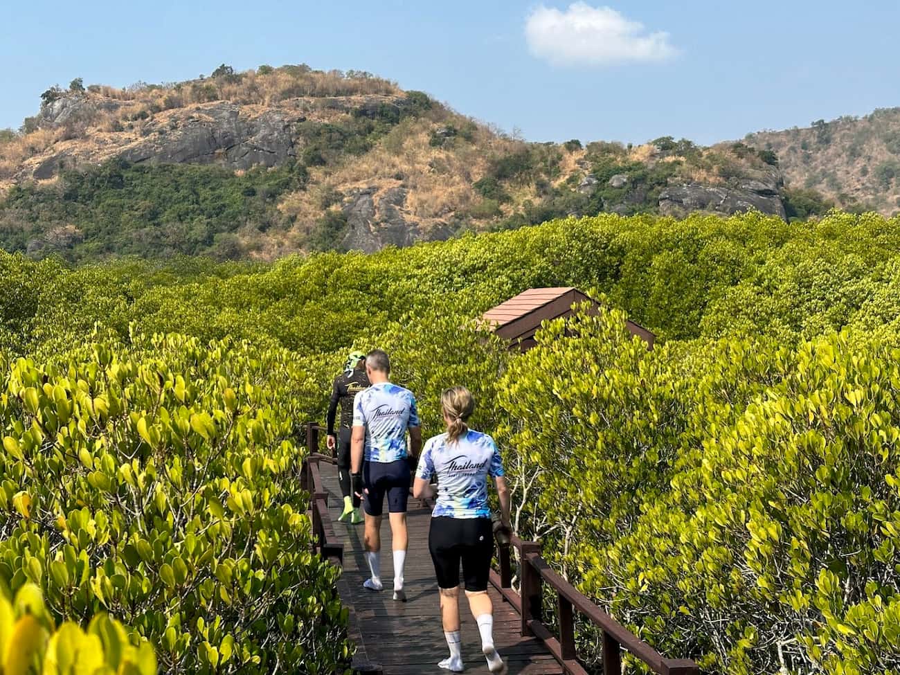 Cycling tour participants walking along the wooden boardwalk through the scenic Pranburi Mangrove Forest.