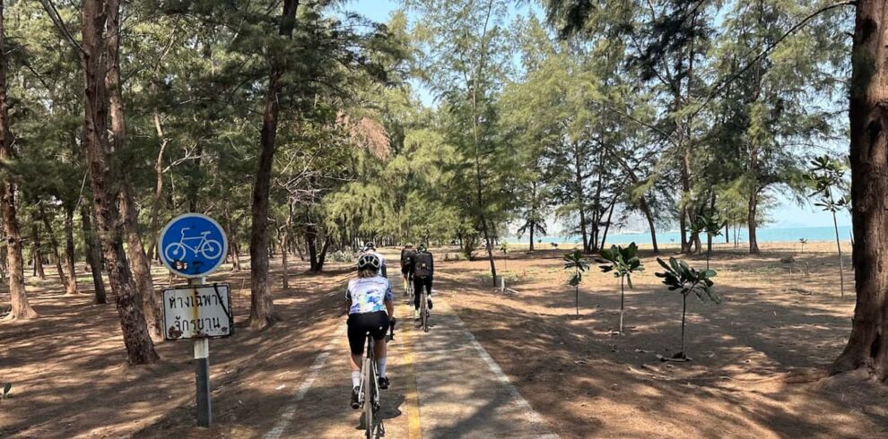 A cyclist riding down a dedicated beachfront bike path through a pine forest on a guided Hua Hin cycling holiday.