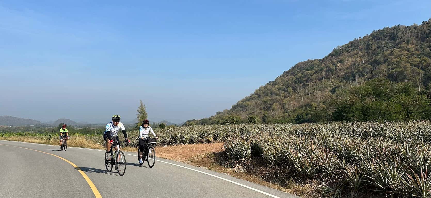 Two cyclists riding past expansive pineapple fields with mountain views during a cycling holiday in Thailand.