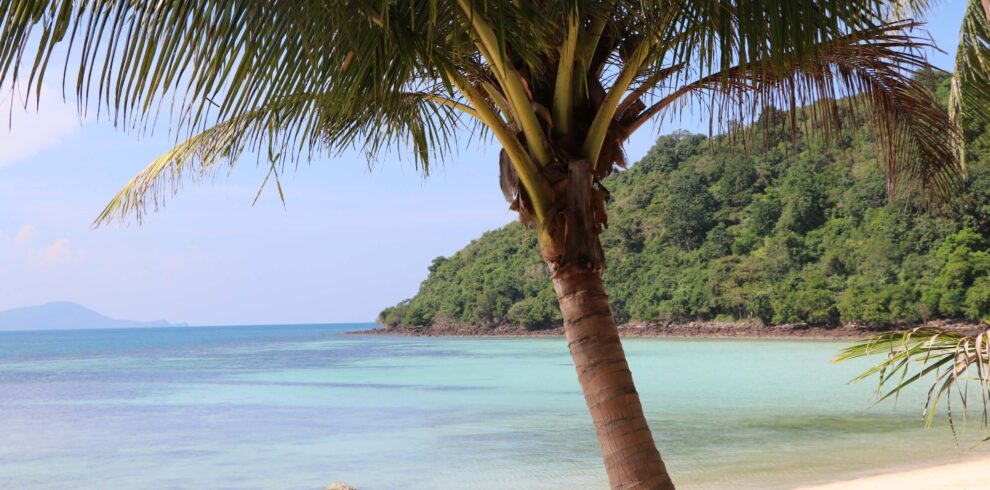 White sand beach and green trees on a beautiful tropical island in Southern Thailand.