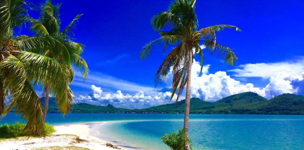 Peaceful tropical beach with palm trees on Koh Yao Yai Island, a relaxing stop during our Southern Thailand bike tours.