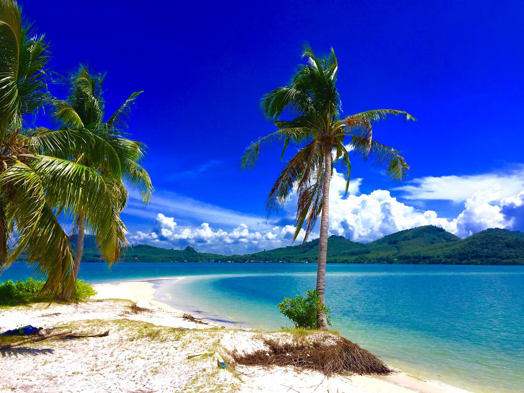 Peaceful tropical beach with palm trees on Koh Yao Yai Island, a relaxing stop during our Southern Thailand bike tours.