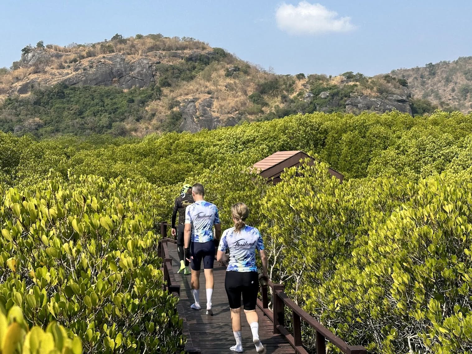 Cyclists from Thailand Cycle Tours walking along a wooden boardwalk through lush mangrove forests in Hua Hin, Thailand. Surrounded by vibrant coastal vegetation and scenic limestone hills, this eco-adventure showcases the natural beauty, wildlife, and outdoor experiences of a cycling holiday in Thailand.
