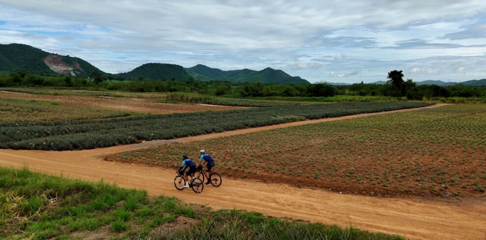 Gravel cycling tours with Thailand Cycle Tours in Hua Hin, Thailand, featuring riders exploring scenic backroads, dirt tracks, coastal trails, pineapple plantations, and remote countryside landscapes on guided and self-guided gravel bike adventures.