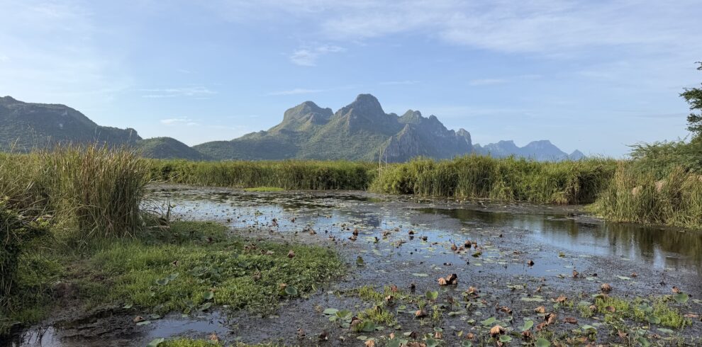 Cyclists riding through Khao Sam Roi Yot National Park in Thailand, surrounded by limestone mountains, coastal scenery, and tropical countryside on a Thailand Cycle Tours adventure.