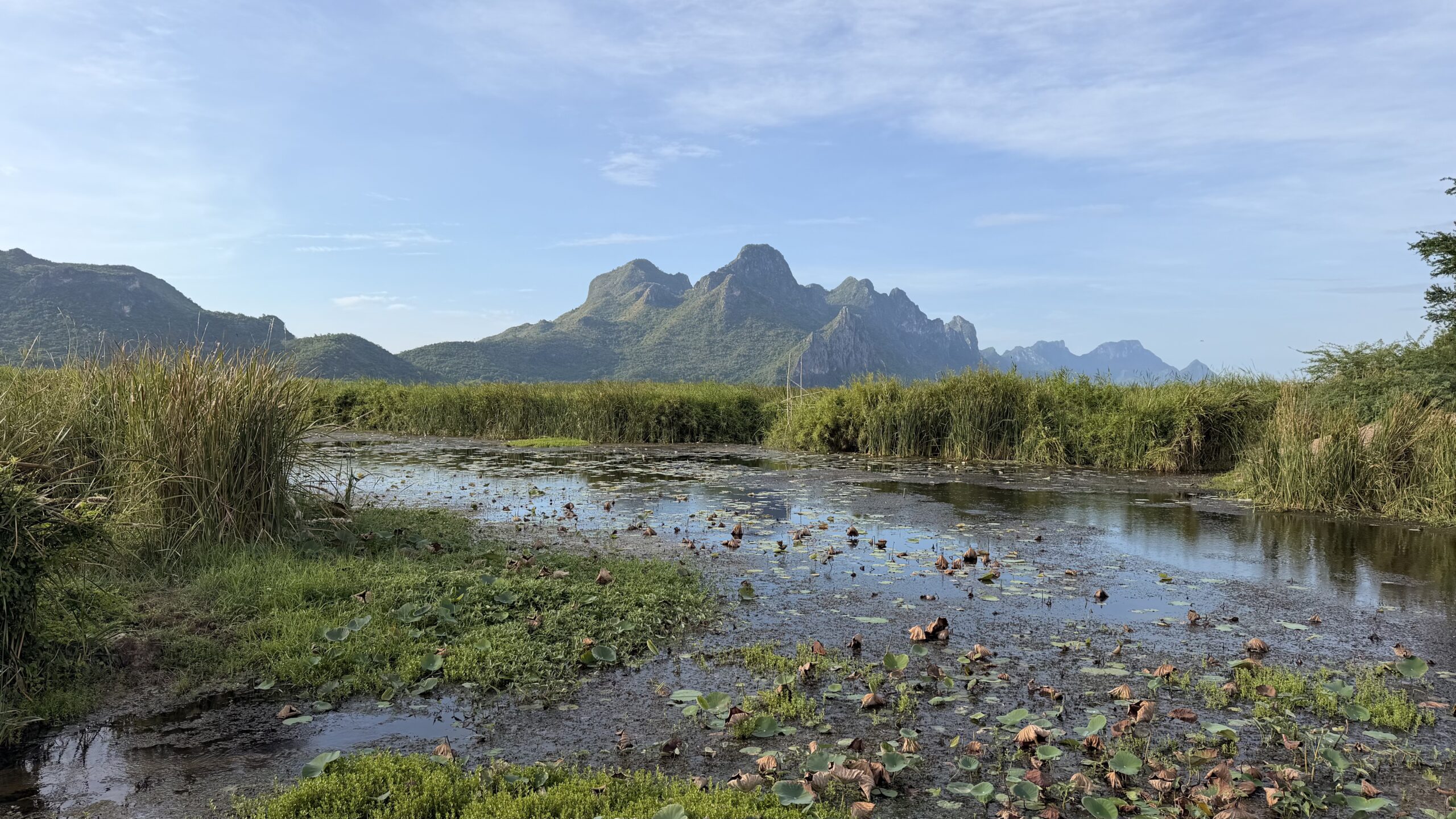Cyclists riding through Khao Sam Roi Yot National Park in Thailand, surrounded by limestone mountains, coastal scenery, and tropical countryside on a Thailand Cycle Tours adventure.