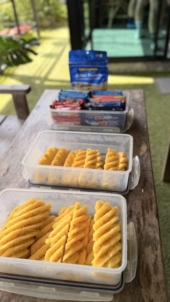 Frische Ananas und Energiesnacks während einer Radtour in Thailand