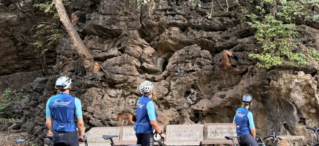 Thailand Cycle Tours: Begegnung mit wilden Affen während einer Radtour